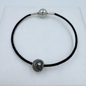 Pandora Bracelet & Charm